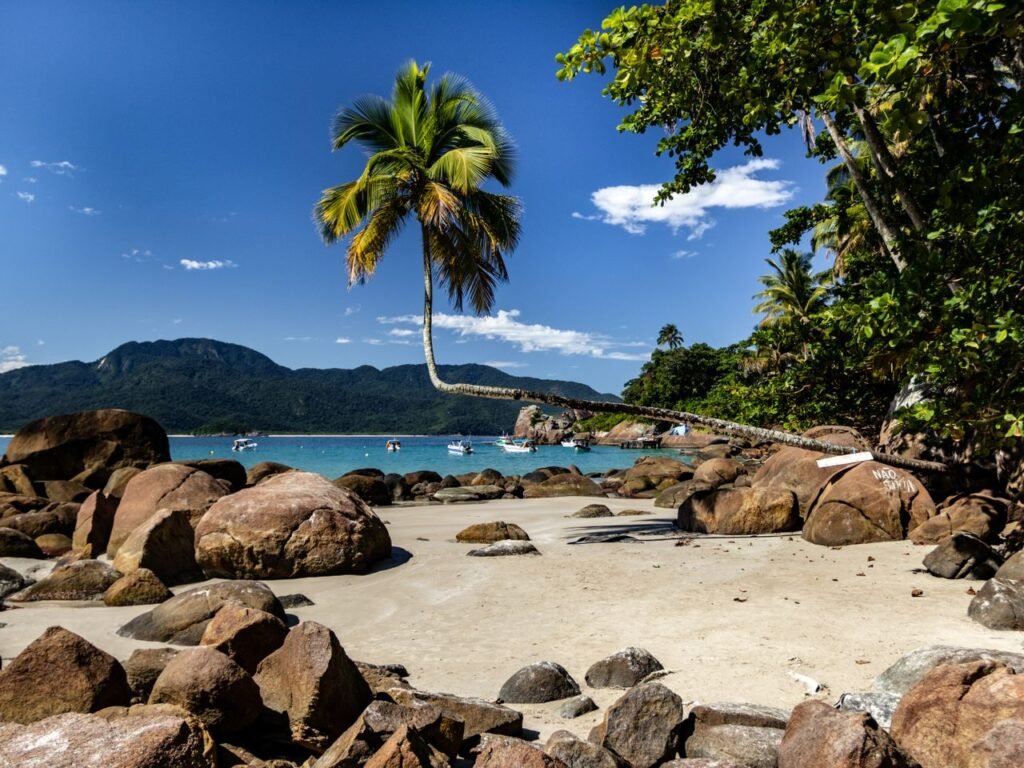 Sunlit tropical beach with a leaning palm tree, azure sea, and rocky coastline.