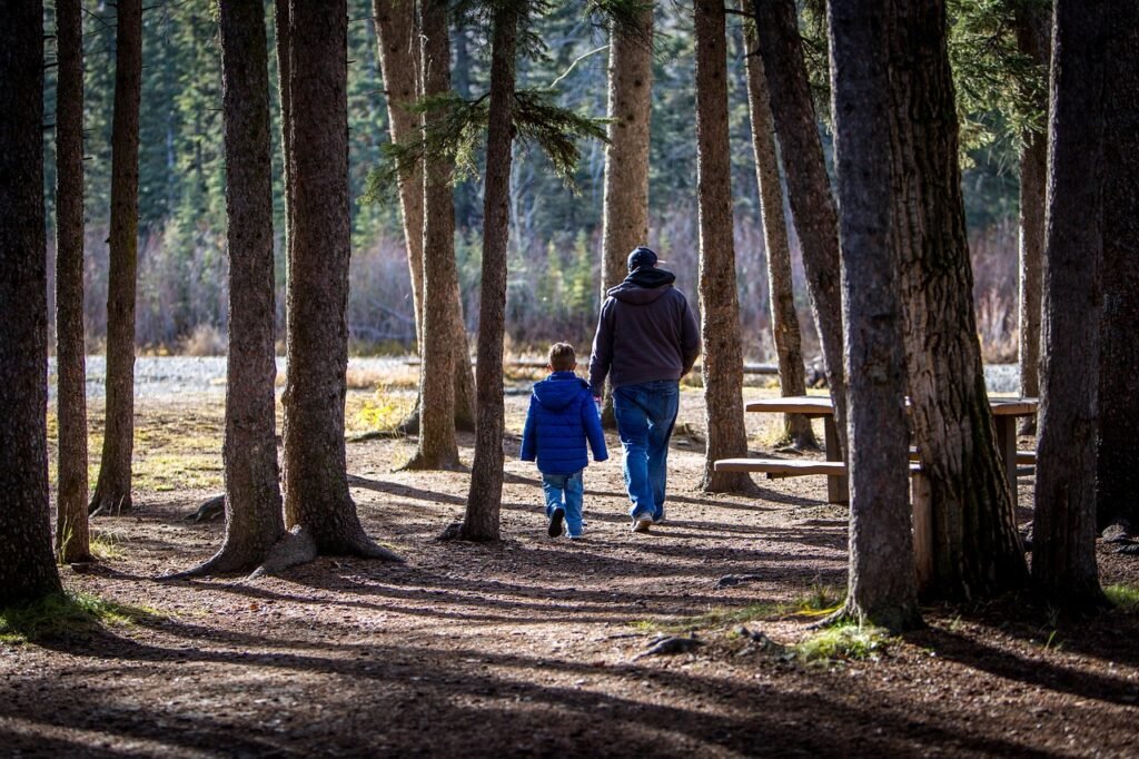 family, hiking, father and son, father, boy, nature, vacation, leisure, outdoors, active, happy, walking, family hiking, forest, parent, hike, adventure, autumn, family, family, family, hiking, father, father, father, father, father, family hiking, family hiking, parent
