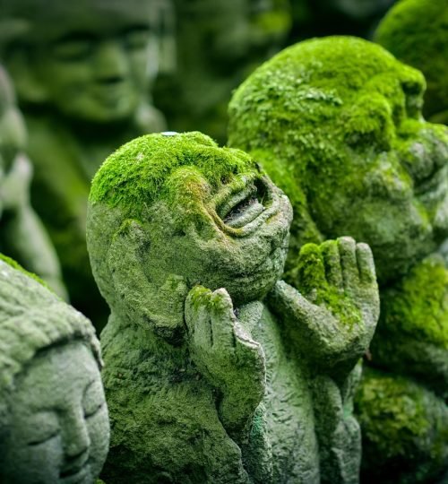 kyoto, japan, statue, jizo, japanese, religion, culture, asia, buddhism, temple, buddha purnima, shrine, religious, spiritual, buddhist, ancient, travel, heritage, zen, buddha, sculpture, shinto, traditional, history, sacred, otagi nenbutsu-ji, figures, moss, green travel, green history, green buddha, green culture