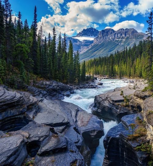 river, rocks, trees, conifer, stones, creek, stream, coniferous, woods, forest, mountains, scenery, nature, gorge, mistaya canyon, mistaya river, banff national park, alberta, canada, river, river, river, river, river, stream, canada, canada, canada