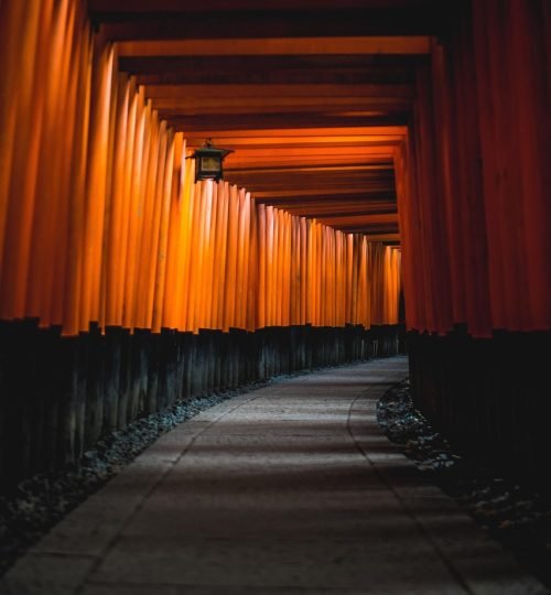 architecture, shinto, shrine, japan, kyoto, hallway, path, arches, phone wallpaper, iphone wallpaper, phone wallpaper, phone wallpaper, phone wallpaper, phone wallpaper, phone wallpaper, iphone wallpaper, iphone wallpaper