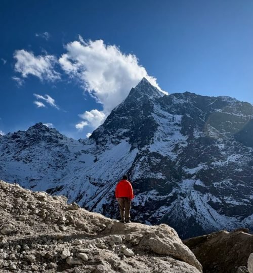 A trekker in a red jacket admires snow-capped mountains in Badrinath, India.